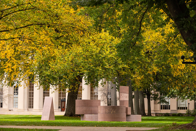 Spring at MIT